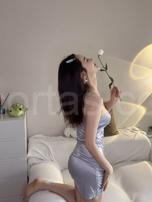 gina escort photos – San Jose, San Jose