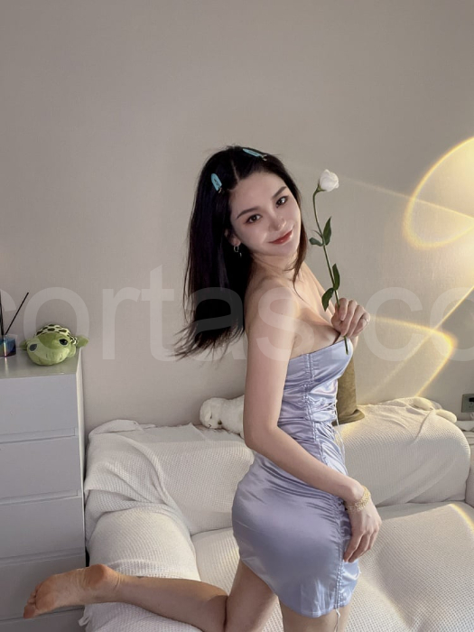 gina escort photos – San Jose, San Jose
