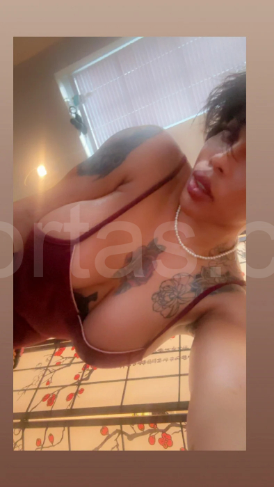 NeoTheMuseTS Siren Elite Escape escort photos – Massachusetts